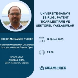 Üniversite-Sanayi İşbirliği, Patent Ticarileştirme